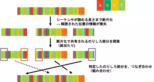 Cliffhanger、NGSゲノム解析で量子コンピューターを活用ゲノムアセンブリングの最適化により、高速NGSゲノム解析が可能に