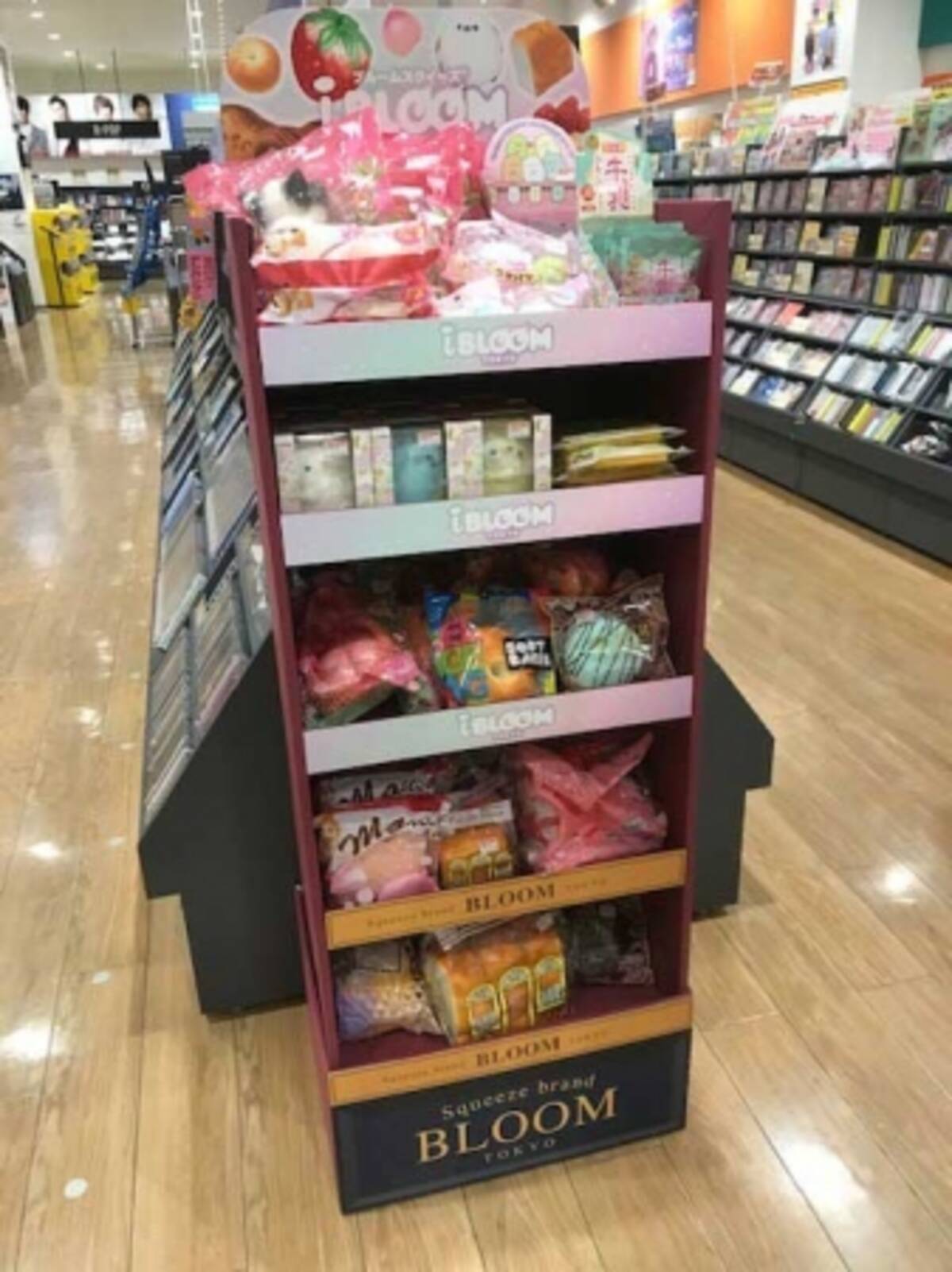 札幌 スクイーズ 最高のイラストと図面