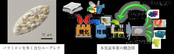 ユーグレナ社は 環境省による 脱炭素社会を支えるプラスチック等資源循環システム構築実証事業 の採択事業に参画します 年4月2日 エキサイトニュース