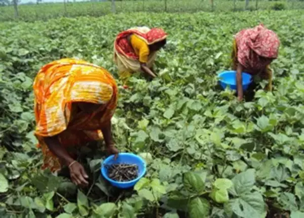 「ユーグレナ社、国連開発計画（UNDP）が主導する「ビジネス行動要請（BCtA）」に採択されました」の画像