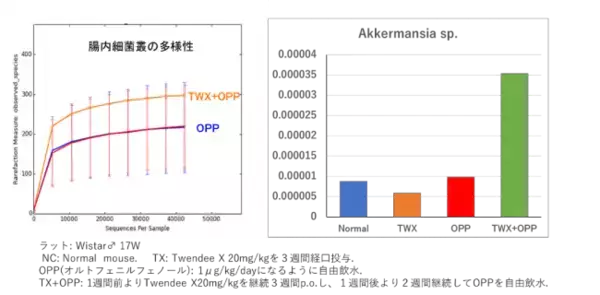 抗酸化配合剤「Twendee X（トゥエンディ エックス）」が、身体の免疫向上に作用することを示唆する研究結果をマウスの実験で確認しました