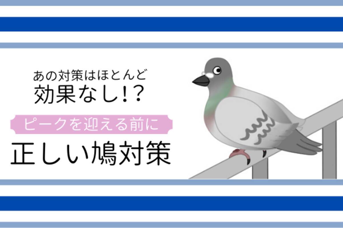 8割以上は個人宅 鳩の被害相談に関する実態調査 年4月28日 エキサイトニュース