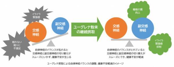 石垣島ユーグレナの継続摂取が 現代人が抱える複合的な健康不安を解決し根本から健康へ導く可能性があることを確認しました 2020年5月18日 エキサイトニュース