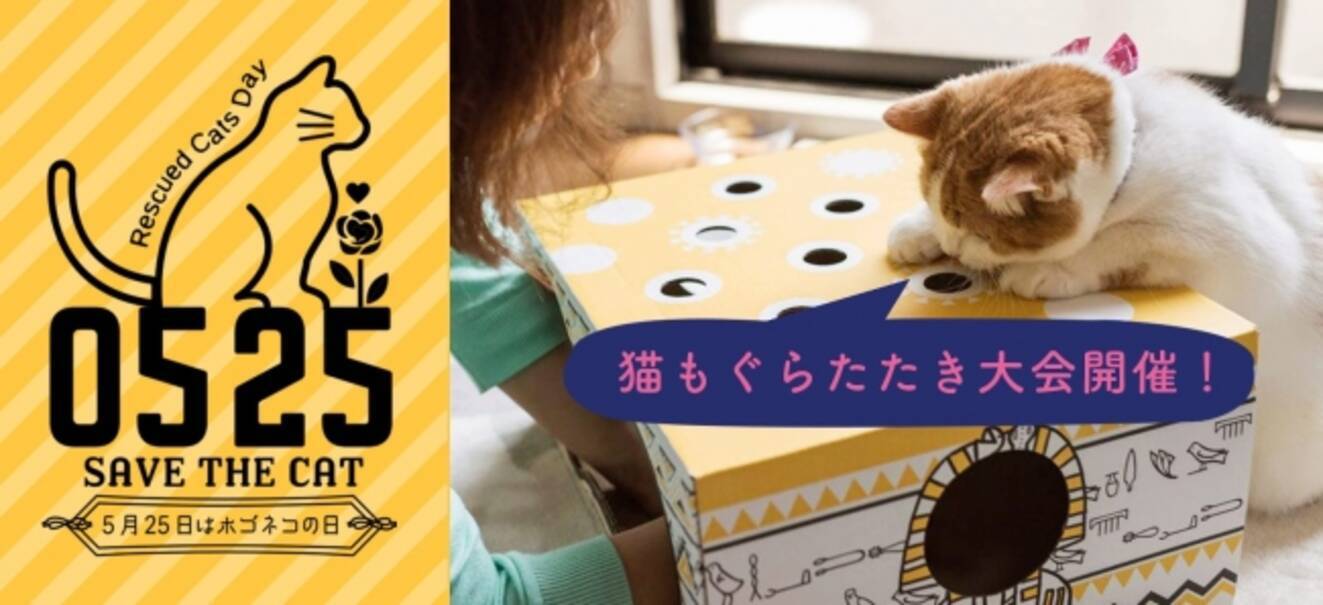 おうちで猫と遊んでネコ助けするニャ 猫好きがネコと遊ぶことで保護猫支援ができるイベント ホゴネコの日特別企画 ねこもぐらたたき大会 を開催 年5月21日 エキサイトニュース