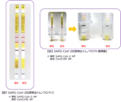 医療現場における新型コロナウイルス Sars Cov 2 感染経路別の新型コロナウイルス感染症 Covid 19 のリスクと予防効果を解明 21年1月12日 エキサイトニュース