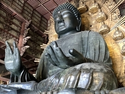 50日間、1200時間続いた奈良の大仏のリモート参拝生中継を6月1日で終了