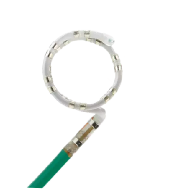 アボット、心臓用マッピングカテーテル「Advisor（TM） VLサーキュラーマッピングカテーテルSE」を発売