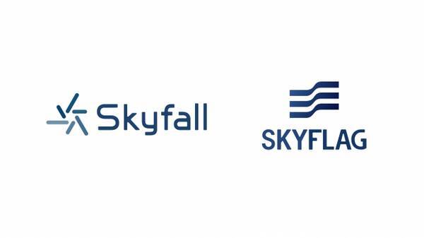 株式会社skyfall コーポレートロゴの変更及び Skyflag サービスロゴ変更 サービスサイトリニューアルのお知らせ 年6月6日 エキサイトニュース