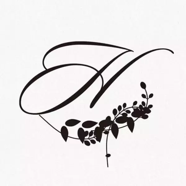 株式会社RAVIPA（代表取締役：新井亨）のHairmore（ヘアモア）の商標が特許庁に登録されました。「登録番号：第6109742号(商願2018-001426)H、エイチ」