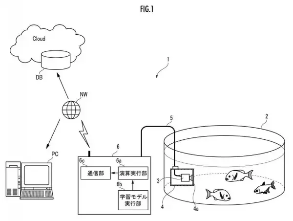 「手を触れずに⿂のサイズを推定する装置（⿂体サイズ算出装置）」の特許を取得
