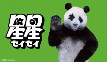 朝番組 Zip にパンダがレギュラー出演 パンダが英語を伝授する新コーナー ２月よりスタート 年1月27日 エキサイトニュース