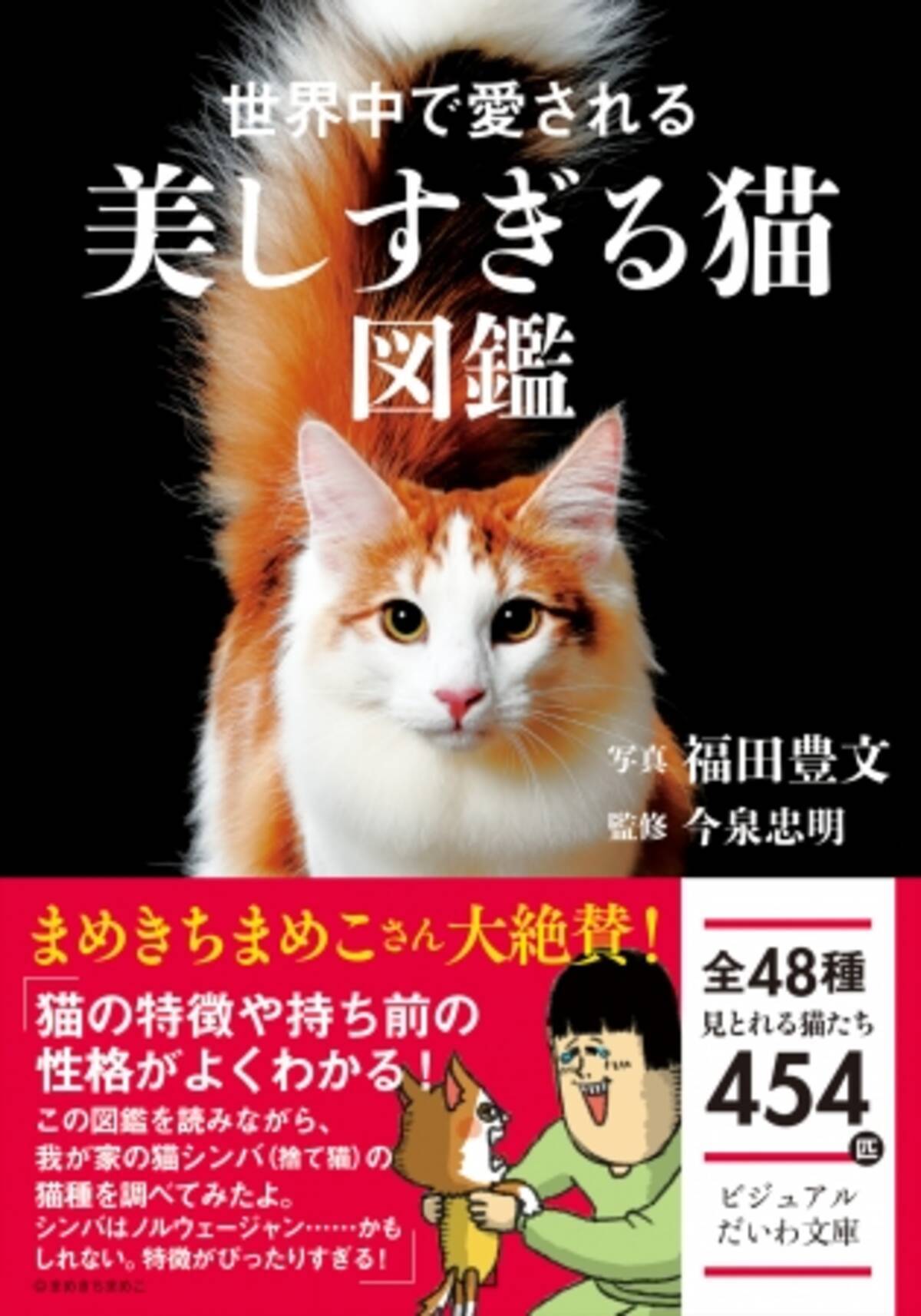 こまちとタビ まめきちまめこさんも絶賛 ポケットサイズ オールカラー 世界中で愛される美しすぎる猫図鑑 発売 年7月10日 エキサイトニュース