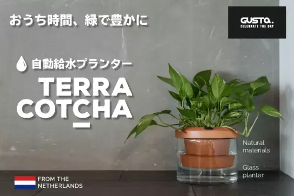 ガラスと陶器の映える自動給水プランター「Terra Cotcha」、2020年7月15日より先行販売を開始！