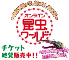 大人気のカブトムシやクワガタなど昆虫作品が一挙集結 レア種とのふれあい体験も カブトムシたちの世界展 21 7 22 8 15 東京で開催 21年6月15日 エキサイトニュース