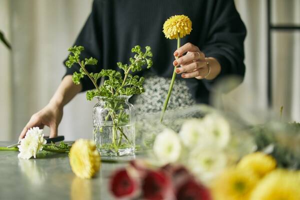 青山フラワーマーケット ホームユースの 観葉植物 フラワーベース の売上が対前年比130 で推移 販売好調につき フラワーベースフェア開催及びスターターキットを限定販売 年7月21日 エキサイトニュース