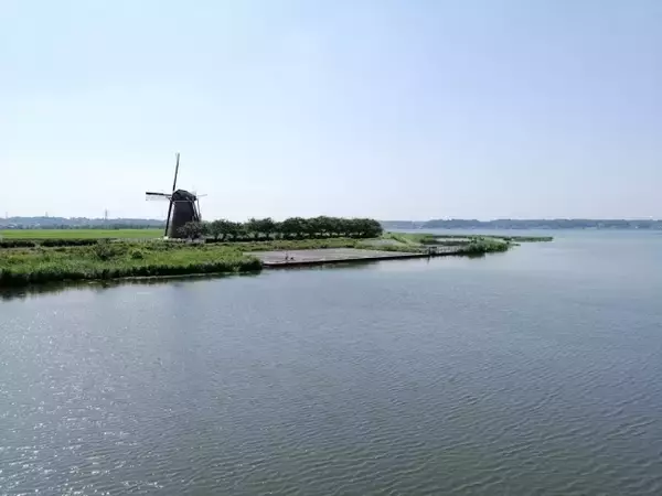 ウィズコロナにおける新しい屋外公共空間の使い方を創出する社会実験『公共空間×移動図書館×豊かな日常』の開催について（8/11、千葉県佐倉市）