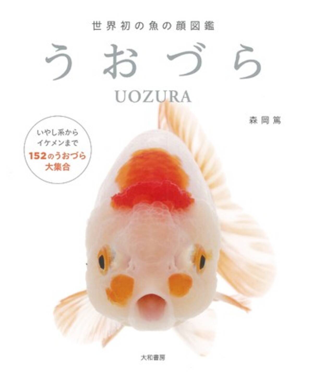 見た目も涼しげで愛くるしい魚たちの真正面に釘付け 世界初の魚の顔図鑑 うおづら 森岡篤 著 8月21日発売 年8月19日 エキサイトニュース