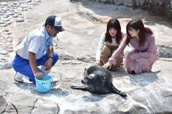 横浜 八景島シーパラダイス 魅力ある 近場旅 をご提案 横浜市の魅力を再発見 新横浜プリンスホテルとコラボレーションした宿泊プラン販売中 年9月7日 エキサイトニュース