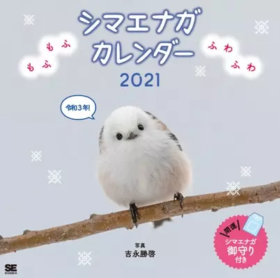 シマエナガ エゾクロテン エゾモモンガ などなど 可愛い動物カレンダーが勢ぞろい 翔泳社 22年 動物 カレンダーを発売 21年9月9日 エキサイトニュース