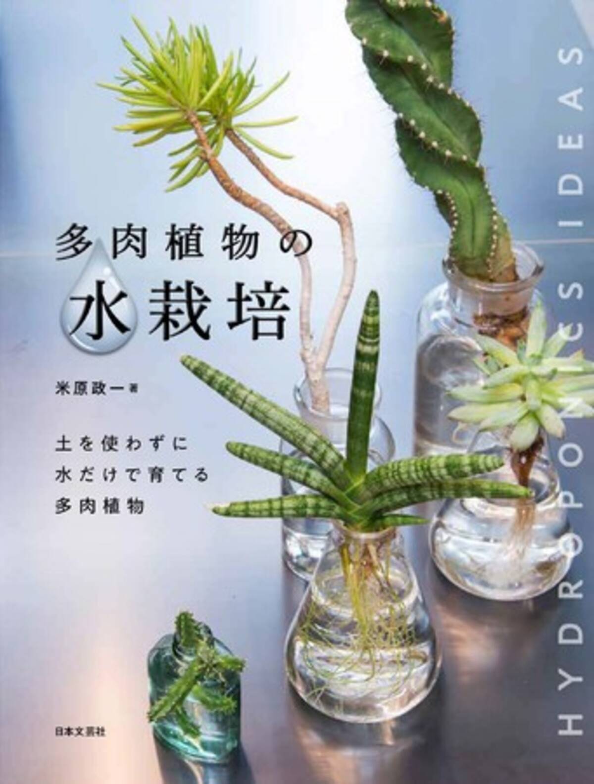 土を使わず水だけで育てる新しい栽培スタイル 多肉植物の水栽培 9月29日発売 年9月28日 エキサイトニュース