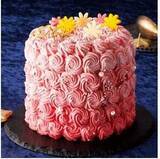 「10月5日（月）より順次予約受付開始アピタ・ピアゴの「クリスマスケーキ2020」~有名ブランド店とパティシエを目指す学生の共同開発ケーキなど10種類のオリジナルケーキ~」の画像1