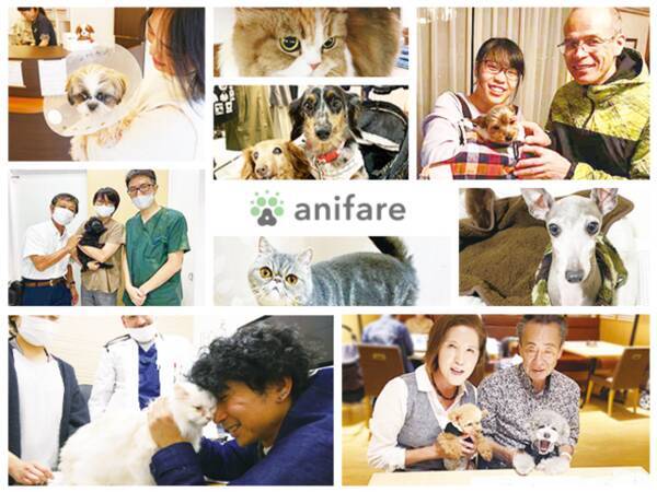 獣医師賛同の里親募集サイト Anifare アニフェア が保護犬 保護猫譲渡数1 000頭を達成 年10月7日 エキサイトニュース