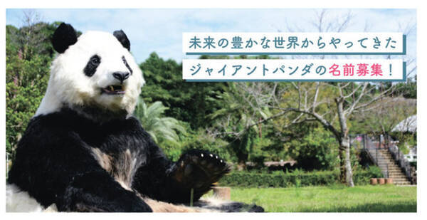 ハッピーパンダシーズン 100年後の豊かな世界から 未来のsmileアンバサダー としてやってきたジャイアントパンダのキャラクターの名前を募集いたします 年10月8日 エキサイトニュース ハッピーパンダシーズン 100年後の豊かな世界から 未来のsmileアンバサダー としてやってきたジャイアントパンダのキャラクターの名前を募集いたします 年10月8日 エキサイトニュース