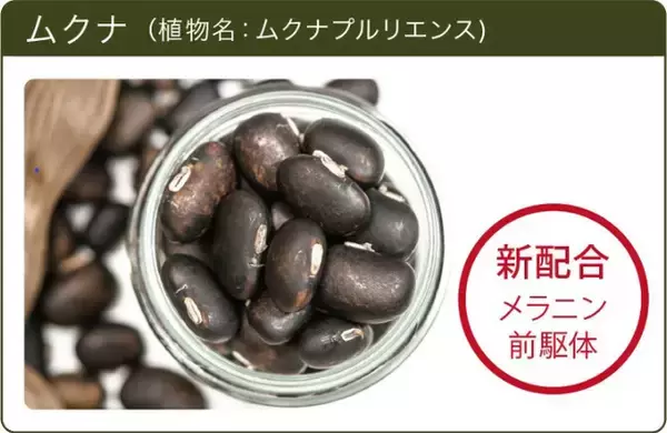 「【染めない白髪ケア！？】植物成分タラタンニン+ムクナの新配合に成功。SUNAスカルプエッセンス　ダブルブラック新発売」の画像