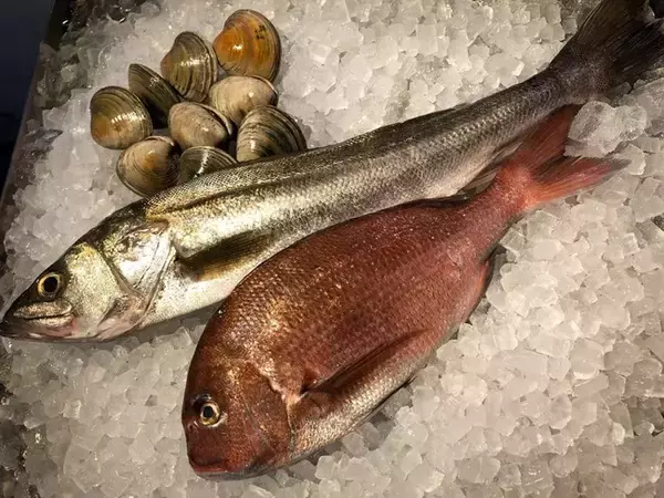 全国500世帯1,159名に「江戸前鮮魚BOX」を無料お届け