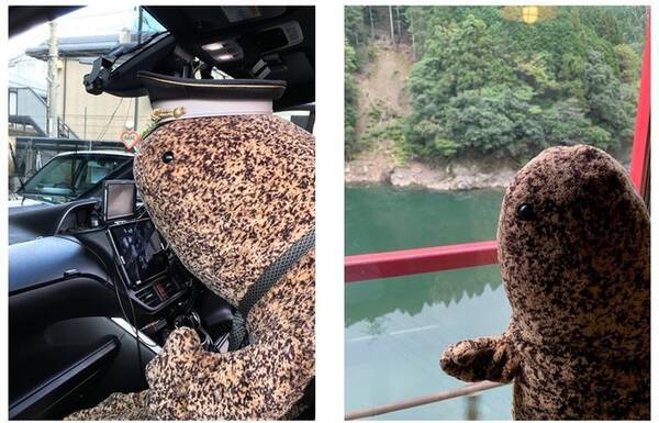 京都水族館 １ ７メートルの超特大オオサンショウウオ ぬいぐるみ が乗車する オオサンタクシー オオサントロッコ列車 が走行 年10月28日 エキサイトニュース