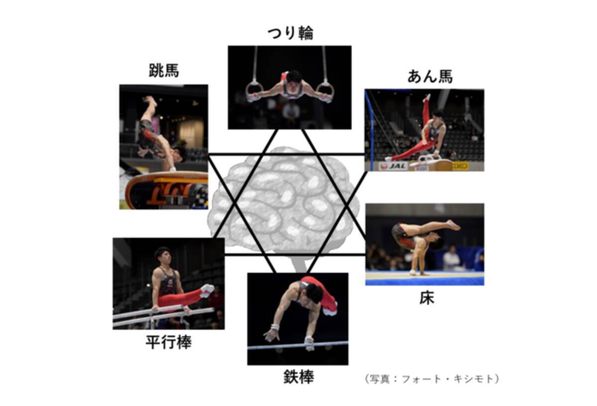 世界クラスの体操競技選手の脳の特徴を明らかに 年11月5日 エキサイトニュース