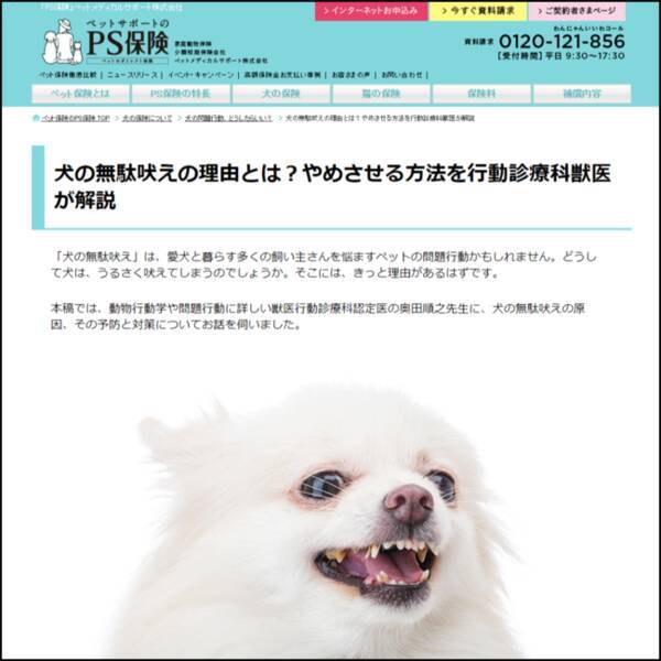 犬の問題行動 犬の無駄吠え ウェブコンテンツ公開 ペット保険 Ps保険 年11月11日 エキサイトニュース