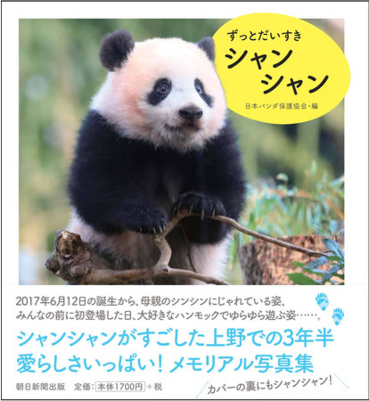 上野動物園の子パンダ シャンシャンとの3年半の思い出いっぱい メモリアル写真集 ずっとだいすきシャンシャン 発売 年11月25日 エキサイトニュース