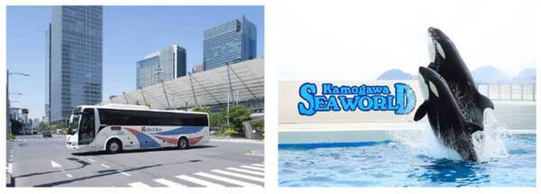 鴨川シーワールド入館券付 ｇｏｔｏ対応 アクシーチケット 誕生 11月27日 金 より 東京駅京成高速バス案内カウンター にて販売開始 年11月25日 エキサイトニュース