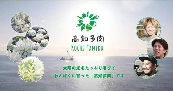 GreenSnapが高知県の多肉植物生産者と【高知多肉ブランド協議会】を発足！