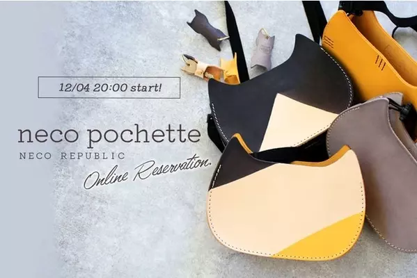 日本初 楽しみながらネコ助けにつながる 保護猫出身の子猫が主人公のゆるかわ系まんが ねこたつ が誕生 19年3月21日 エキサイトニュース