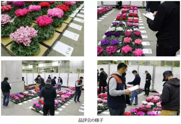 「東京砧花き園芸市場が「第20回東京砧花き全国品評会」を開催　農林水産大臣賞、文部科学大臣賞など入賞作品決定」の画像