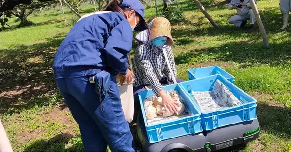 「【スマート農機×梨農家】産学公連携で、山口県農業の高齢化に立ち向かいます。」の画像