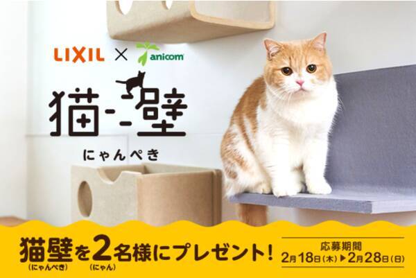 毎年恒例 猫の名前 人気猫種ランキング 21年最新版を一挙公開 21年2月19日 エキサイトニュース