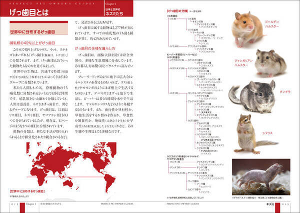 マウス ラット スナネズミ飼育書の決定版 可愛い写真やイラスト満載で初心者も読みやすい一冊 21年2月25日 エキサイトニュース