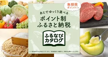 貴乃花 光司 第65代横綱 が 10月31日 土 から放映開始のふるなび新tv Cmに出演 今年は ふるなび屋の店主になって登場 可愛い相棒との掛け合いにも注目 年10月30日 エキサイトニュース