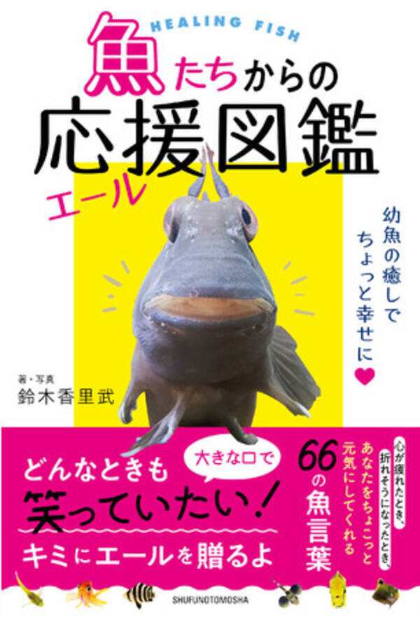 漁港で出会った小さな魚たちが届ける 大っきなキミへのエール 笑顔になれる66の魚言葉 ウオコトバ が 私たちの日々のなかでの大切な事に気付かさせてくれる 21年3月3日 エキサイトニュース