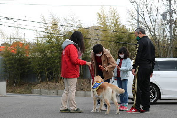 介助犬の卵 訓練センターへ入所 オンラインでの入所式を初開催 日本介助犬協会 21年3月11日 エキサイトニュース