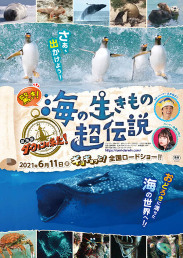 Nhk人気自然番組 ダーウィンが来た 劇場版 第3弾 驚き 海の生きもの超伝説 劇場版ダーウィンが来た 21年6月11日 金 より全国ロードショーが決定 本日ビジュアル解禁 21年3月12日 エキサイトニュース