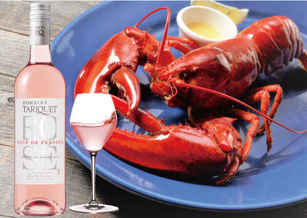 春を感じるロゼワインとロブスターで乾杯 タリケ ロゼ レッドロブスター5店舗で数量限定販売 21年3月22日 エキサイトニュース