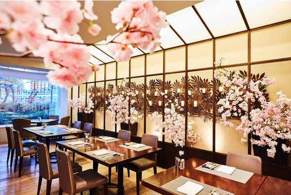 個室 インドア花見プラン 21年3月24日 エキサイトニュース 個室 インドア花見プラン 21年3月24日 エキサイトニュース