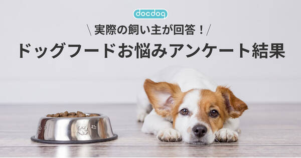 犬の飼い主が回答 ドッグフードに関する現状 お悩み調査結果をドックドッグが発表 21年3月30日 エキサイトニュース