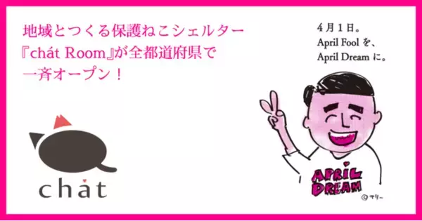 地域とつくる保護ねこシェルター『chat Room』が全都道府県で一斉オープン！