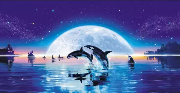 ラッセン ミスティカル ライフ オブ シー（S) おっきかっ 