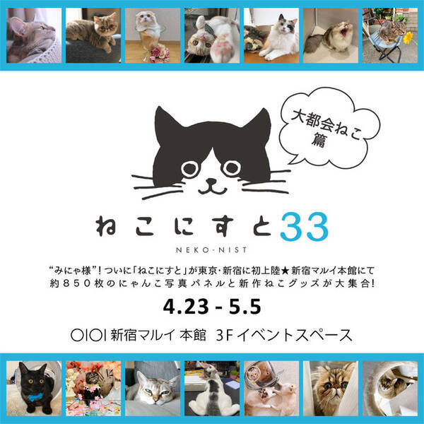 Gw特別開催 日本最大級のねこ写真パネル グッズ展 ねこにすと３３ 大都会ねこ篇 いぬ写真パネル展 いぬにすと イケてる犬篇 を新宿マルイ本館にて初開催 21年4月9日 エキサイトニュース